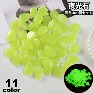    300Zbg ANAEpi p  ~   Mы  ԕr u  Jt Xg[  ꂢ  