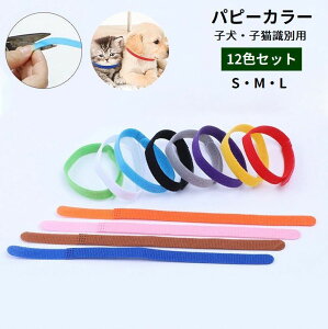  ps[J[ 12FZbg ʗp qp qLp Lp ps[}[J[ ybgpi }WbN e[v ʃt@Xi[ EȒP  n Vv