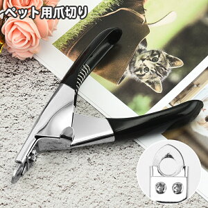  ybgpܐ؂ p Lp ybgpi ߐ؂ M`^Cv lCPA ܂̃PA  lCNbp[   ˂ lR hbO Lbg