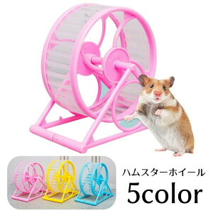  nX^[zC[ 񂵎 O pi  xAO ԗ ^ XgX S[f WKA lY~ }EX Vv ybgpi