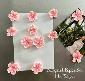  }Olbg 12Zbg  MTCY STCY t[  A 킢  ① AW ؂₩  i ꂢ DIY zCg{[h f