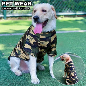  ybgEFA hbOEFA TVc Jbg\[  ʕ  ^ ^ t  H Jt[W Jt ʋC ybgp p JWA 킢  hbOE