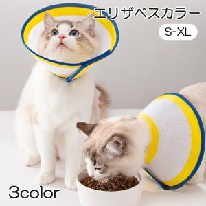  GUxXJ[ L lR  Ck ybgpi rߖh~ z bV ʋC  ی ߉\  PApi }WbN e[v S