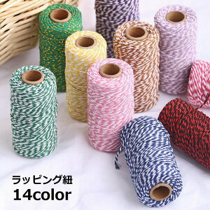  bsOR pR bsO{ p{ 2mm 100m bsOpi pi ޗ XgCv oCJ[ ~bNX v[g Mtg 蕨 DIY i` 