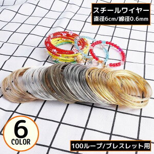  X`[C[ 100[v uXbgp a6cm a0.6mm `L [C[ ANZT[p[c nhCh