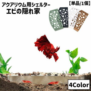  Gr̉B VF^[ B ݉ A gl Pi 1  Gr  _J ybgpipCAEgpi ɐB ی VvveN^[ ANAEpi 