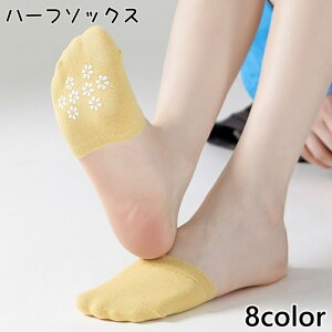  n[t\bNX 1yA fB[X tbgJo[ ܐ\bNX gD\bNX C pvXC Ci[\bNX ~ ƂȂ Vv pvX tbgEFA