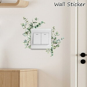  EH[XebJ[ CeA ǃXebJ[ ǎV[  Ǐ fR[V   A t [t O[ DIY 