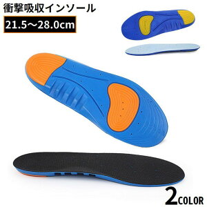  C\[ ~ fB[X Y A[`T|[g NbV Ռz y܂   X|[c d ɂ