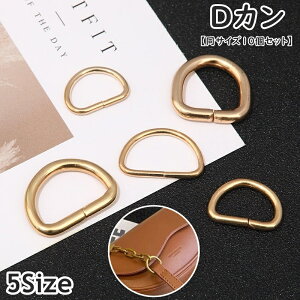  DJ |pi TCY10Zbg Ntgp[c nhChޗ  Vv S[hJ[ D^ 