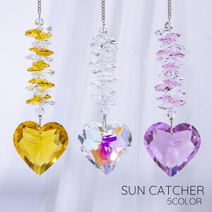  TLb`[ CeAG 1{ Pi ݂艺   n[g LL NX^ J[e   oRj[  킢 