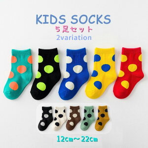  qpC qp\bNX 5Zbg LbY xr[ ̎q j̎q qp \bNX hbg 킢 Jt C ct ۈ牀 w 