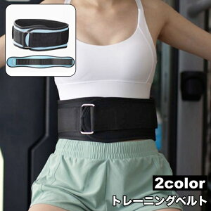 送料無料 トレーニングベルト サポートベルト ウェイトリフティング トレーニング 男女兼用 調節可能 面ファスナー マジック テープ 筋トレ スポーツ 腰部 ウエスト サイズ調整