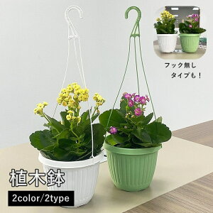  Aؔ t[|bg ϗtA v^[ tbNt tbN vX`bN  | K[fjO