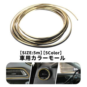 送料無料 カラーモール 5m 車用品 カー用品 内装 マルチモール カスタム 装飾 パーツ ドレスアップ おしゃれ かっこいい
