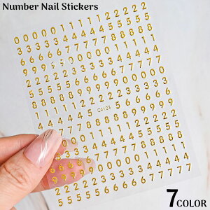  lCV[ lCXebJ[ 1 lCA[g ZtlC fRp[c \邾ȒP  io[ 3D  