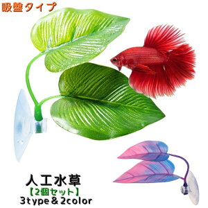  Mыp lH 2Zbg A zՃ^Cv  ANAE  CAEgpi tFCN Mы C IuWF   Ϗ܋