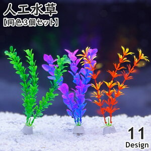  lH lHA 20m F3Zbg pA ANAE CAEg vX`bN st t i  IuWF ANZT[ I[ig 