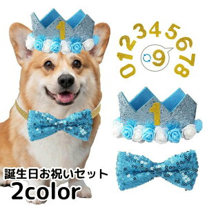 送料無料 誕生日お祝いセット ペット用 犬用 猫用 3点セット 帽子 蝶ネクタイ 数字 ナンバー付き 王冠 バースデー お祝い パーティ 記念撮影 ペットグッズ ネコ イヌ