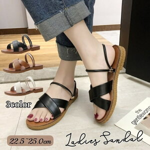  T_ fB[X ؂ tbg XgbvT_ C  2WAY Vv n i` ₷ l  ubN  zCg  uE  I[v