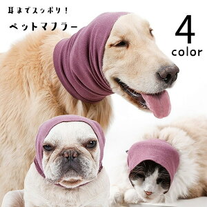  ybgpwAoh wbhoh ybgpC[}t Jo[ }t[ wbhhX ybgObY ybgpi p Lp ۉ  h  Vv[ g~O JW