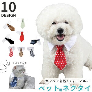 �������� �y�b�g�p�l�N�^�C �� �L �C�k �l�R �y�b�g�p�i �y�b�g�l�N�^�C �ݕt�� �ʃt�@�X�i�[ �}�W�b�N �e�[�v �R�X�v�� �ߑ� ���� ������ ���Ă΂� �a���� �n���E�B�� ���킢�� ���������� 