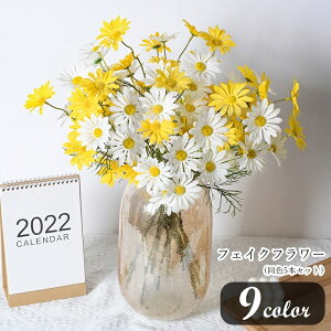  tFCNt[  tFCNO[ 5{Zbg 5Zbg CeA CeAG  RXX  ؂₩  L[g |bv JWA 