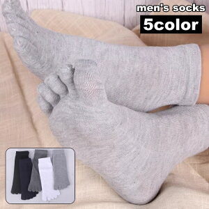  5{w\bNX V[g\bNX 5{wC Y j am Vv PF  