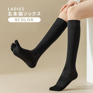  ܖ{w\bNX nC\bNX fB[X  wl C 5{w  \bNX JWA n PF Vv ig fC[