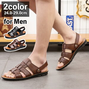  T_ RtH[gT_ Y OfBG[^[ Xgbvt 2way U[  ꂢ JbR o JWA fC[ ][g s AEghA 