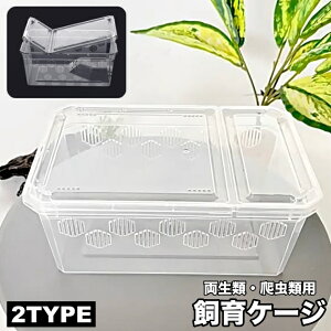 送料無料 飼育ケージ 飼育ケース 両生類用 爬虫類用 クリアケース プラケース 透明 カメ 亀 カエル 水槽 テラス 陸地 長方形 シンプル 通気口 ペット用品