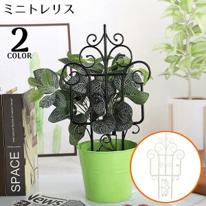  ~jgX ~jIxXN K[ftFX x 鐫ApT|[gt[ U Aؔ v^[ | K[fjO