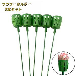  t[z_[ 5{Zbg A z_[ t[AWg ԑ u[P x A  K[fjO  fR[V