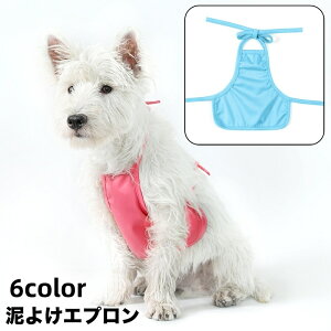  D悯Gv  Ck L lR ybgpi hbOEFA z^[lbN R^Cv n PF Vv \ o U  H   ی