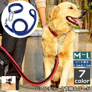   [h 2_Zbg p ybgp n[t`[N [V 1.2m 1.5m `F[ j Vv U o| ybgpi ybgObY   dog