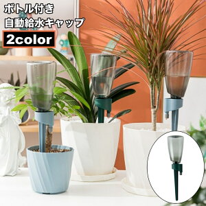 送料無料 自動給水キャップ 自動水やり器 ボトル付き ペットボトル対応 植木鉢 植物 室内 自動散水用具 ガーデニング用品 水切れ対策 園芸 観葉植物 ガーデニング 家庭菜園 シンプル 旅行