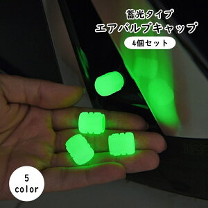  GAouLbv 4Zbg ouJo[ J[pi ԗpi  ~   oCN  ] I[goC JX^ tȒP