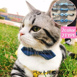  ybgplN^C  L  ybg lN^C fj Ck L { ANZT[ ^Ck  