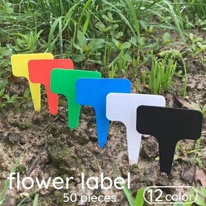  t[x 50Zbg |px K[fjO |pi RpNg Aؔ v^[ vX`bN Jɋ 킢  