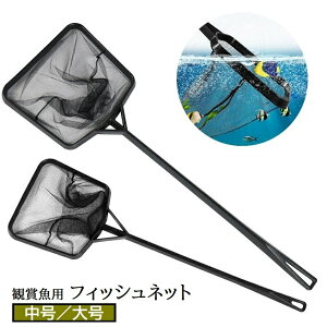  tBbVlbg Ϗ܋plbg  ybgpi ANAE  | S~ ւ lp`   eiX  Mы  卆