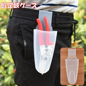  P[X ΂ nT~P[X EGXgobO K[fjO z_[ [ | K[fjO  NA y zX^[^Cv oT~