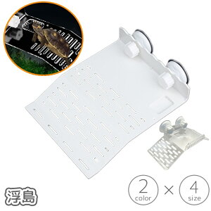   T J ybgp ঒  z lH Ő  ڂ xe ȒPݒu   CAEg fR[V