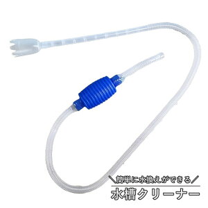  N[i[ ANAEp z|v 蓮  |pi ւ  t| N[i[ TCtH