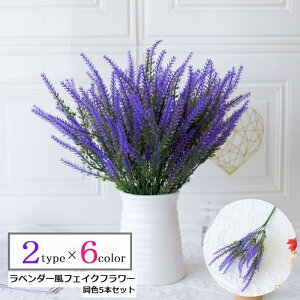  x_[tFCNt[ 5{Zbg  A[gt[ vX`bNt[  K[f CeA    킢 LC JoLx   