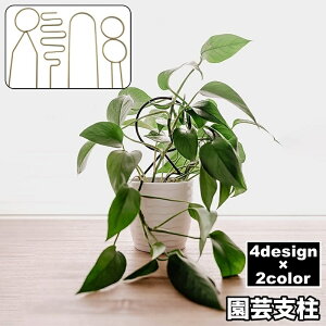 送料無料 園芸支柱 植物支柱 ガーデニング 園芸用品 家庭菜園 育苗資材 花支柱 アーチ支柱 フラワースタンド 観葉植物 鉢植え サポート おしゃれ かわいい モダン