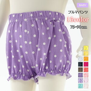  u}pc Ԃ xr[ ̎q j̎q {gX V[gpc ڂpc SEGXg S n  hbg  sN zCg Vv JWA 킢