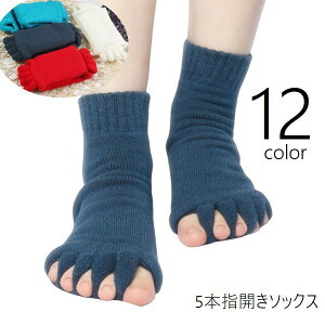  5{wJ\bNX w\bNX 5{wC Y fB[X j  jp C N[\bNX [\bNX ӂӂ  K\bNX wL΂ Zs[\bNX 