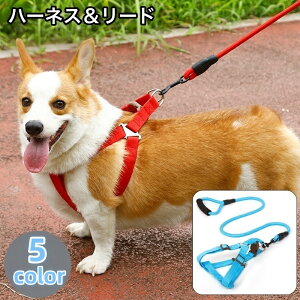  n[lX [h 2_Zbg ybgpi p hbO [V  UR R Vv  o U Ck 