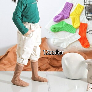  N[\bNX C LbY xr[ qp ̎q j̎q  u n \bhJ[ Vv  o| ʉ ʊw q jq ǂp