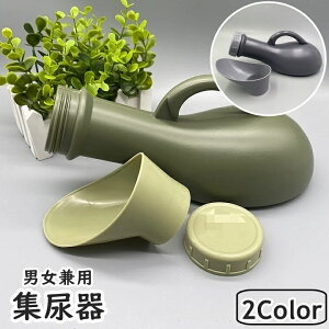  WA Ar т A 1000ml t j  Y fB[X pi |[^ugC gуgC ً} ЊQ a  ֗ RpNg